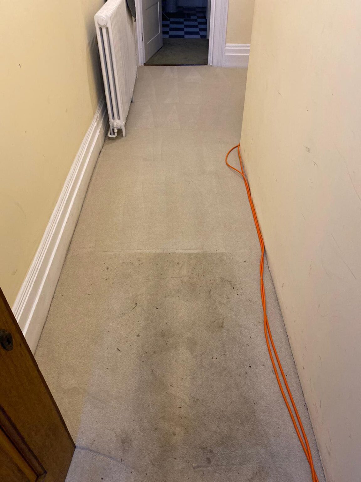 Carpet & Upholstery Cleaning Pros My WordPress Blog